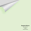 Digital color swatch of Benjamin Moore's Mint Julep 547 Peel & Stick Sample available at Ricciardi BRothers in PA, DE, & NJ.