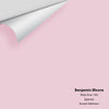 Digital color swatch of Benjamin Moore's Misty Rose 1360 Peel & Stick Sample available at Ricciardi BRothers in PA, DE, & NJ.