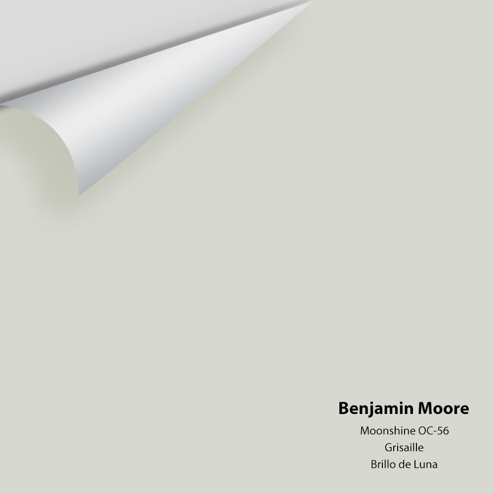 Digital color swatch of Benjamin Moore's Moonshine OC-56 Peel & Stick Sample available at Ricciardi BRothers in PA, DE, & NJ.