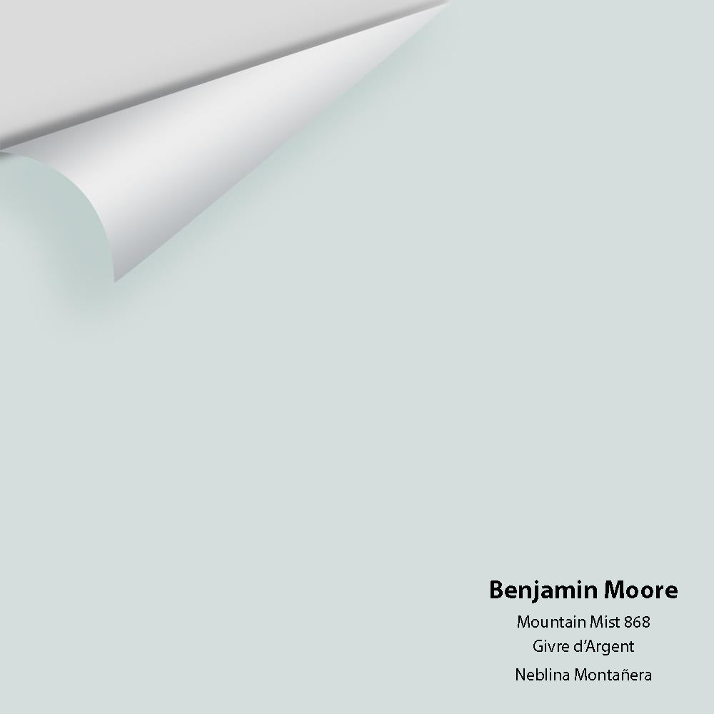 Digital color swatch of Benjamin Moore's Mountain Mist 868 Peel & Stick Sample available at Ricciardi BRothers in PA, DE, & NJ.