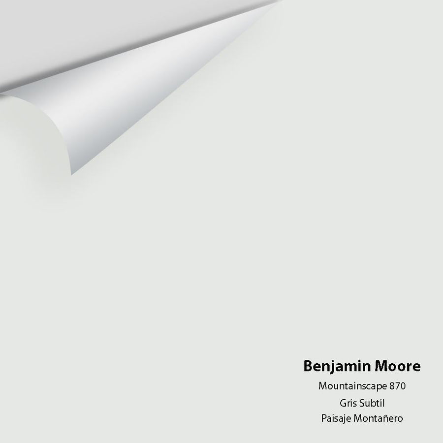 Digital color swatch of Benjamin Moore's Mountainscape 870 Peel & Stick Sample available at Ricciardi BRothers in PA, DE, & NJ.