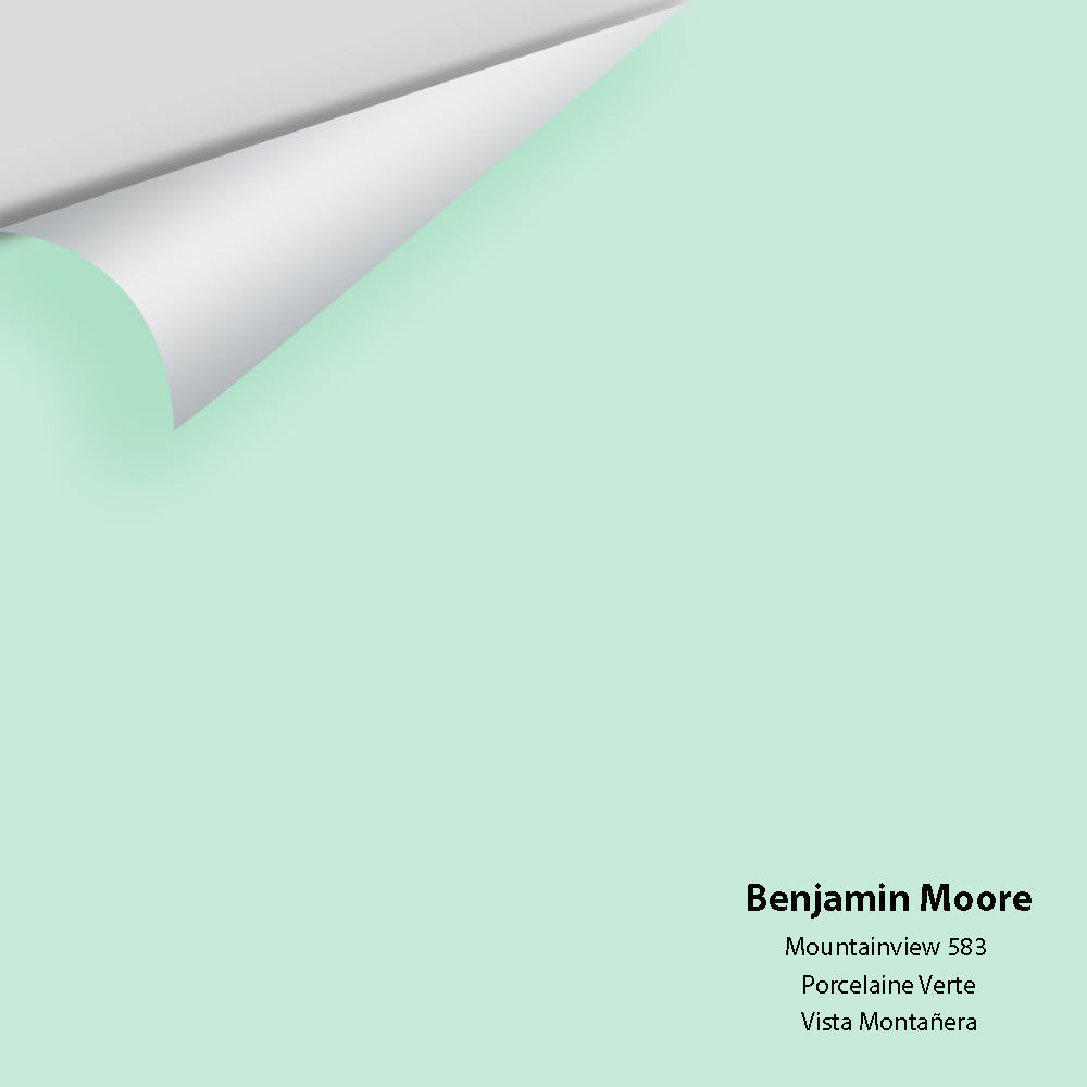Digital color swatch of Benjamin Moore's Mountainview 583 Peel & Stick Sample available at Ricciardi BRothers in PA, DE, & NJ.