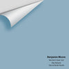 Digital color swatch of Benjamin Moore's New Born's Eyes 1663 Peel & Stick Sample available at Ricciardi BRothers in PA, DE, & NJ.