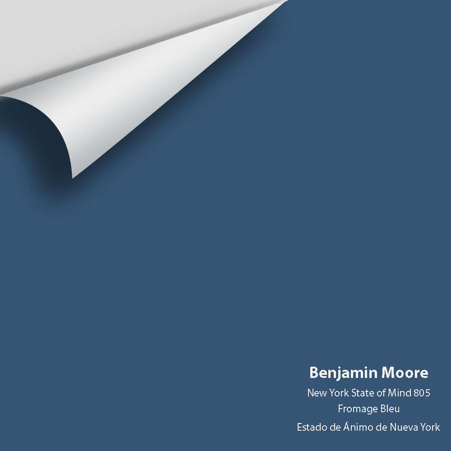 Digital color swatch of Benjamin Moore's New York State of Mind 805 Peel & Stick Sample available at Ricciardi BRothers in PA, DE, & NJ.