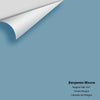 Digital color swatch of Benjamin Moore's Niagara Falls 1657 Peel & Stick Sample available at Ricciardi BRothers in PA, DE, & NJ.