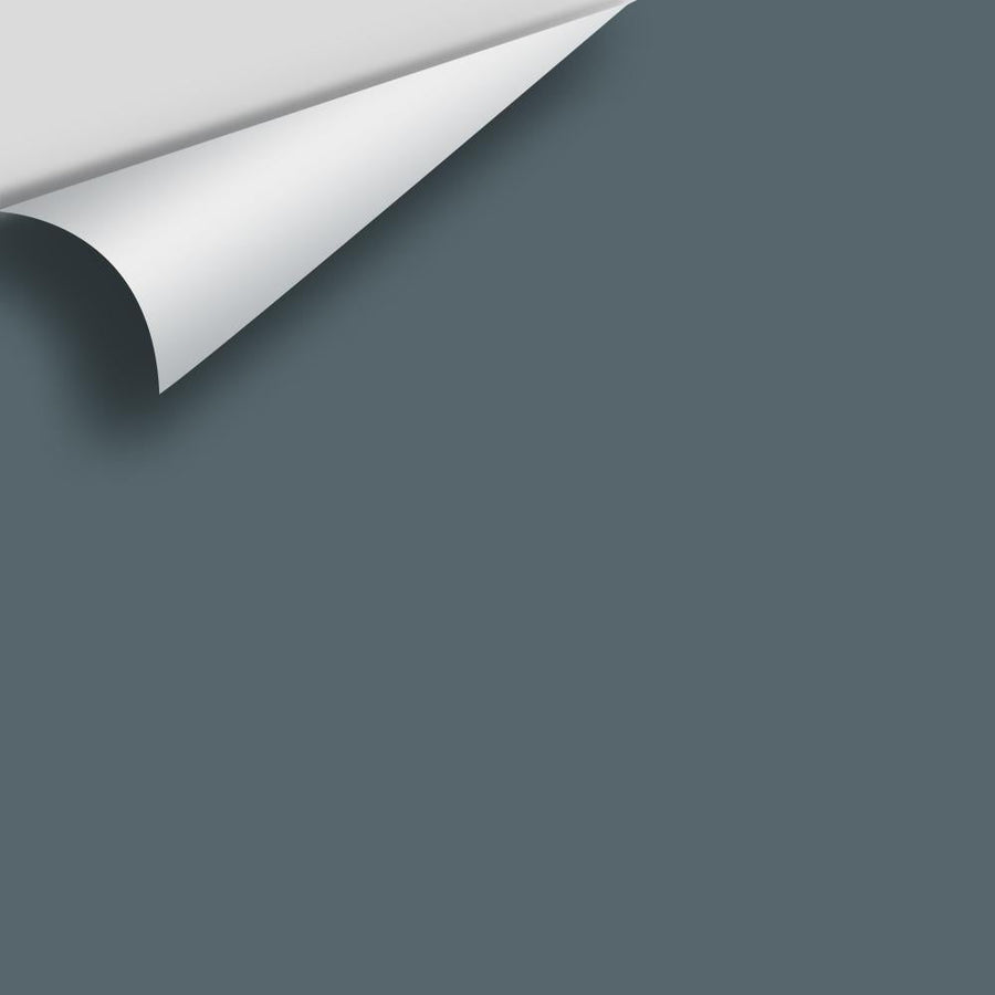 Digital color swatch of Benjamin Moore's Nocturnal Gray 2135-30 Peel & Stick Sample available at Ricciardi BRothers in PA, DE, & NJ.