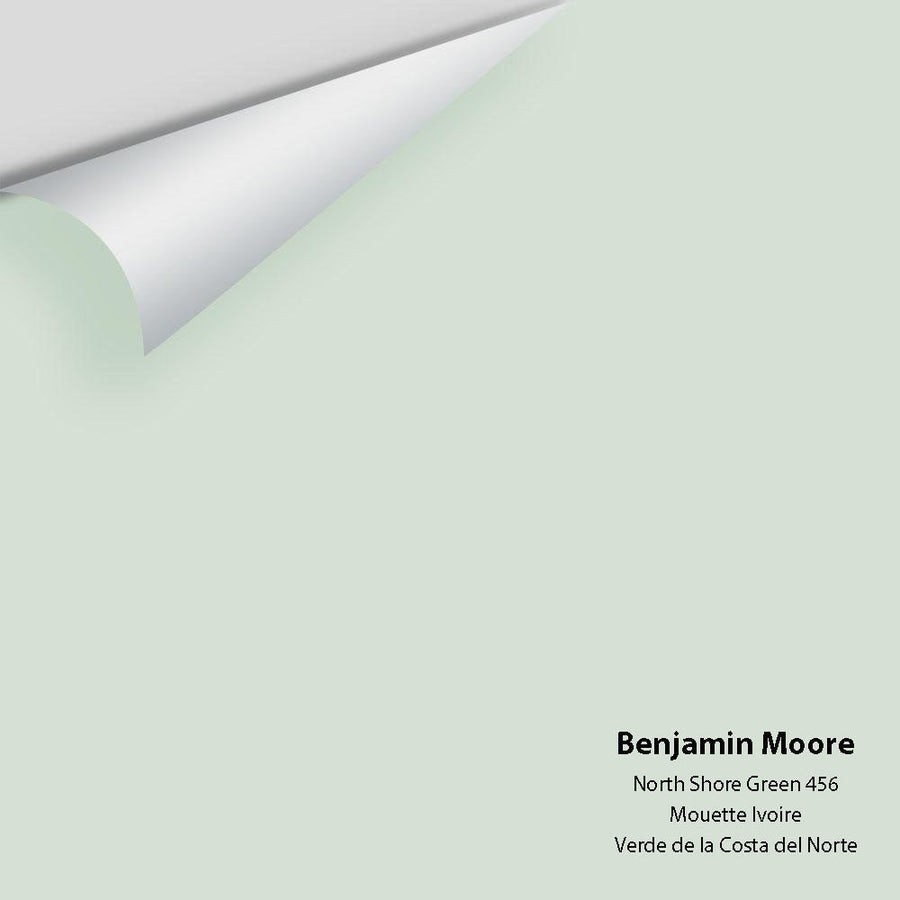 Digital color swatch of Benjamin Moore's North Shore Green 456 Peel & Stick Sample available at Ricciardi BRothers in PA, DE, & NJ.