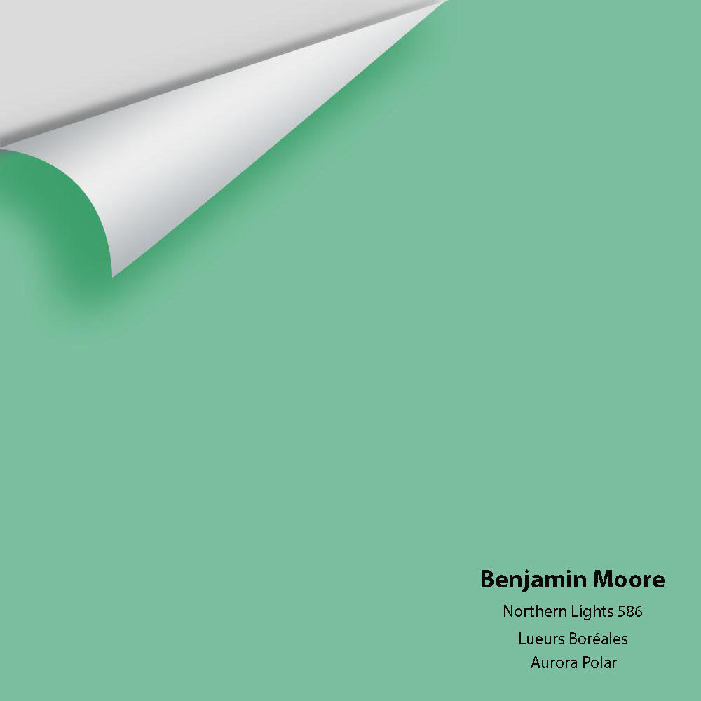 Digital color swatch of Benjamin Moore's Northern Lights 586 Peel & Stick Sample available at Ricciardi BRothers in PA, DE, & NJ.