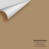 Digital color swatch of Benjamin Moore's Norwester Tan CC-332 Peel & Stick Sample available at Ricciardi BRothers in PA, DE, & NJ.