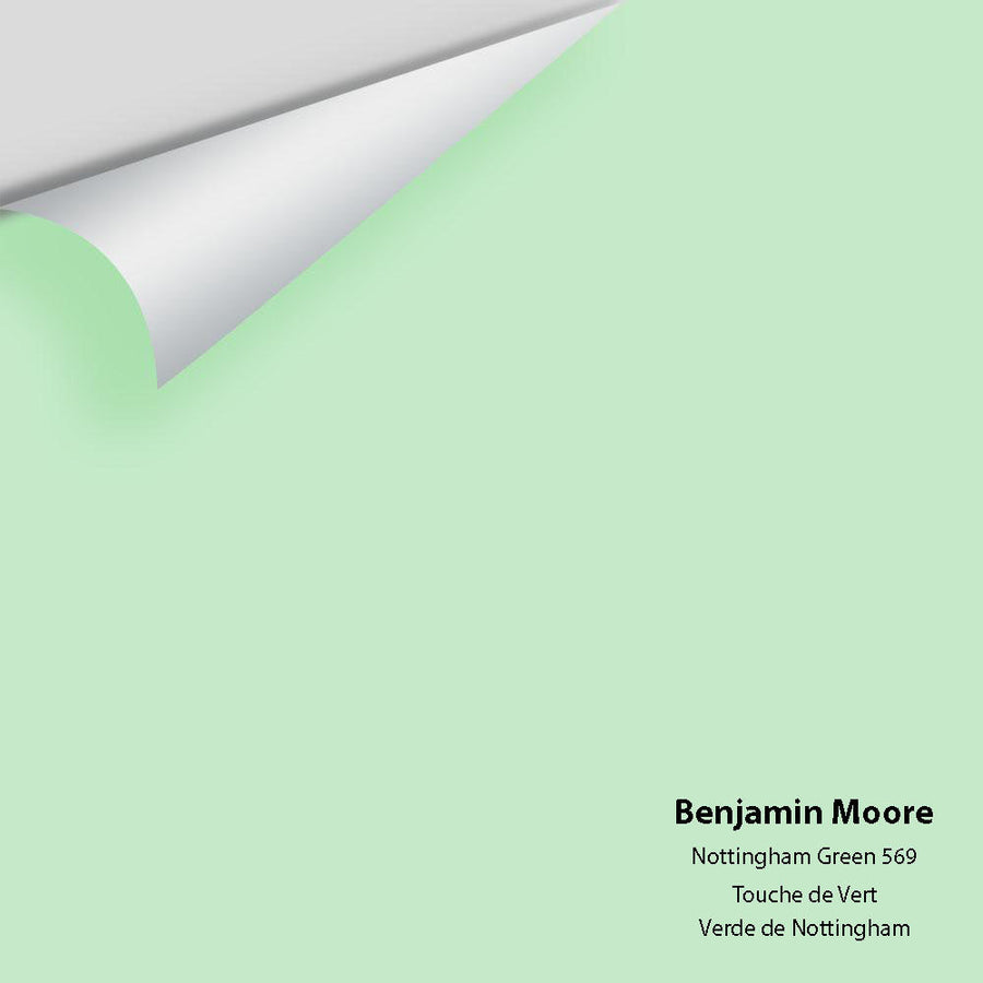 Digital color swatch of Benjamin Moore's Nottingham Green 569 Peel & Stick Sample available at Ricciardi BRothers in PA, DE, & NJ.