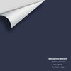 Digital color swatch of Benjamin Moore's Old Navy 2063-10 Peel & Stick Sample available at Ricciardi BRothers in PA, DE, & NJ.