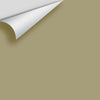 Digital color swatch of Benjamin Moore's Olive Branch 2143-30 Peel & Stick Sample available at Ricciardi BRothers in PA, DE, & NJ.