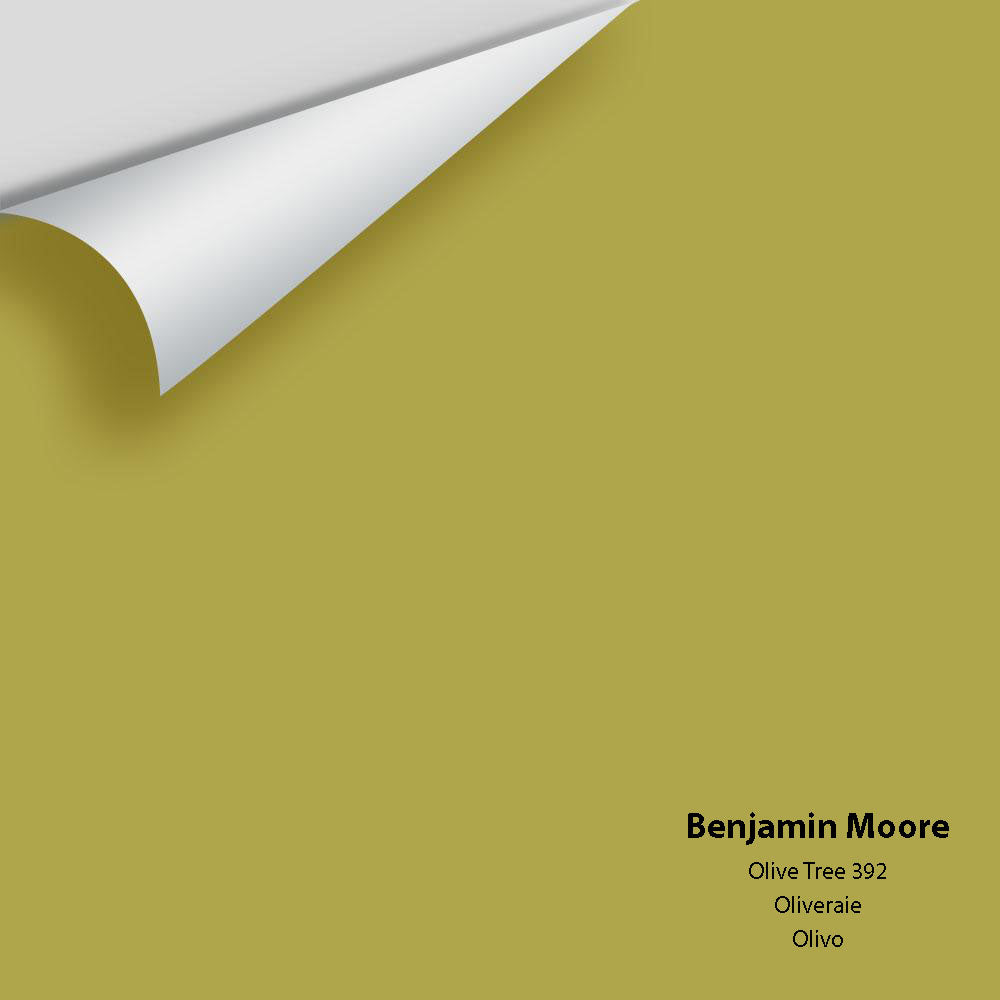Digital color swatch of Benjamin Moore's Olive Tree 392 Peel & Stick Sample available at Ricciardi BRothers in PA, DE, & NJ.