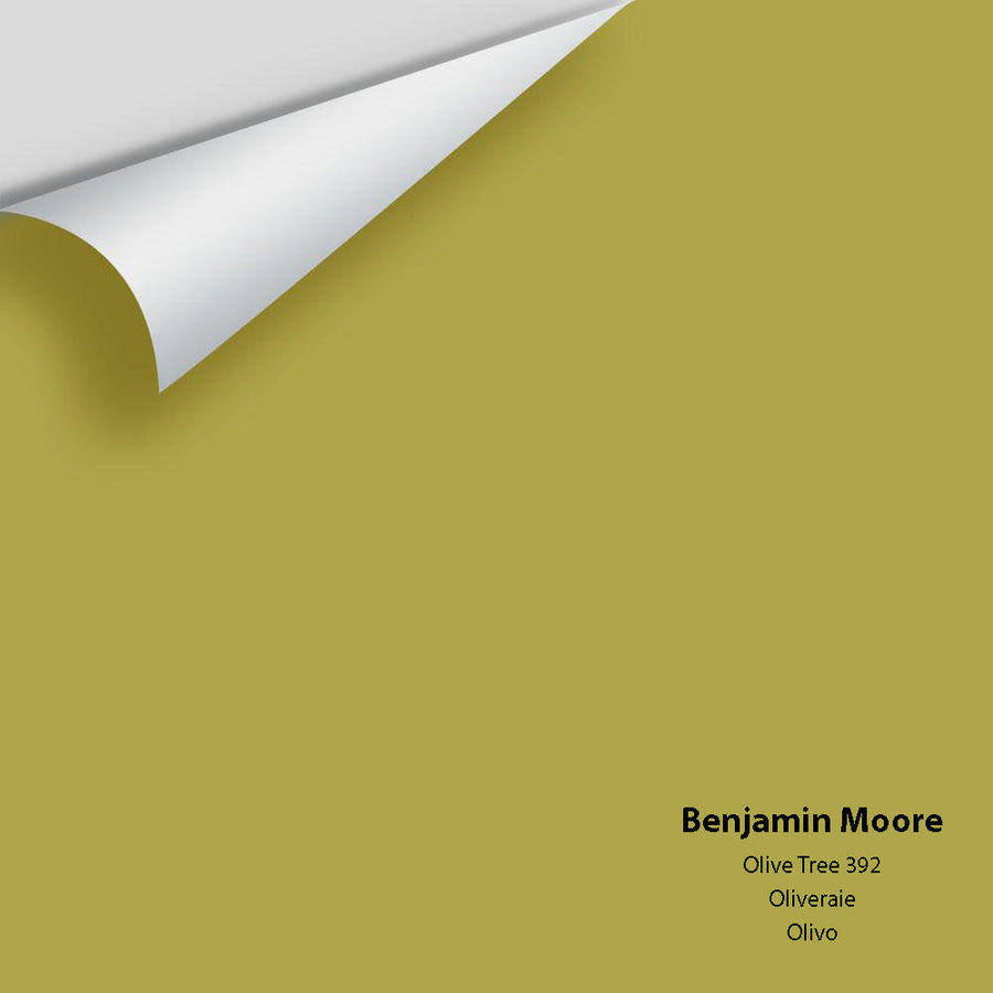 Digital color swatch of Benjamin Moore's Olive Tree 392 Peel & Stick Sample available at Ricciardi BRothers in PA, DE, & NJ.