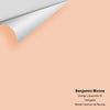 Digital color swatch of Benjamin Moore's Orange Creamsicle 59 Peel & Stick Sample available at Ricciardi BRothers in PA, DE, & NJ.