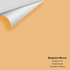 Digital color swatch of Benjamin Moore's Orange Ice 166 Peel & Stick Sample available at Ricciardi BRothers in PA, DE, & NJ.