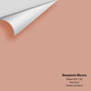 Digital color swatch of Benjamin Moore's Palazzo Pink 1193 Peel & Stick Sample available at Ricciardi BRothers in PA, DE, & NJ.