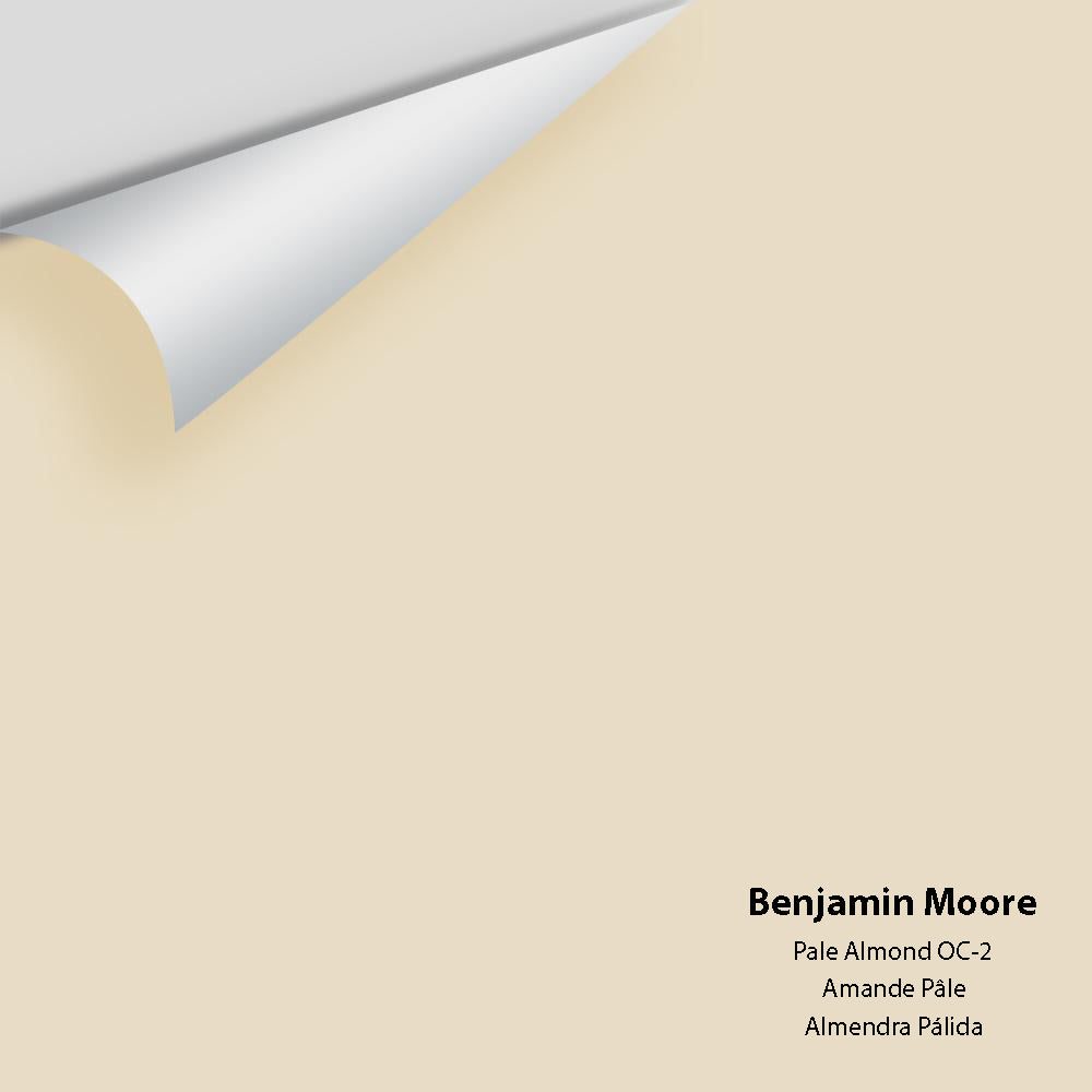Digital color swatch of Benjamin Moore's Pale Almond OC-2 Peel & Stick Sample available at Ricciardi BRothers in PA, DE, & NJ.
