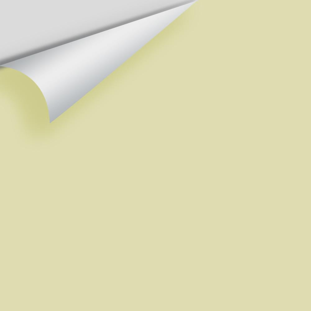 Digital color swatch of Benjamin Moore's Pale Sea Mist 2147-50 Peel & Stick Sample available at Ricciardi BRothers in PA, DE, & NJ.