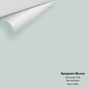 Digital color swatch of Benjamin Moore's Pale Smoke 1584 Peel & Stick Sample available at Ricciardi BRothers in PA, DE, & NJ.