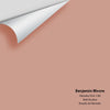 Digital color swatch of Benjamin Moore's Palmetto Pink 1188 Peel & Stick Sample available at Ricciardi BRothers in PA, DE, & NJ.