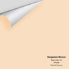 Digital color swatch of Benjamin Moore's Peach Cider 135 Peel & Stick Sample available at Ricciardi BRothers in PA, DE, & NJ.