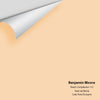 Digital color swatch of Benjamin Moore's Peach Complexion 115 Peel & Stick Sample available at Ricciardi BRothers in PA, DE, & NJ.