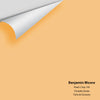 Digital color swatch of Benjamin Moore's Peach Crisp 159 Peel & Stick Sample available at Ricciardi BRothers in PA, DE, & NJ.