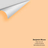 Digital color swatch of Benjamin Moore's Peach Jam 130 Peel & Stick Sample available at Ricciardi BRothers in PA, DE, & NJ.