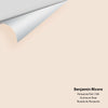 Digital color swatch of Benjamin Moore's Pensacola Pink 1184 Peel & Stick Sample available at Ricciardi BRothers in PA, DE, & NJ.