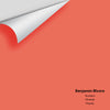 Digital color swatch of Benjamin Moore's Picante 6 Peel & Stick Sample available at Ricciardi BRothers in PA, DE, & NJ.