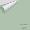 Digital color swatch of Benjamin Moore's Pine Forest 451 Peel & Stick Sample available at Ricciardi BRothers in PA, DE, & NJ.
