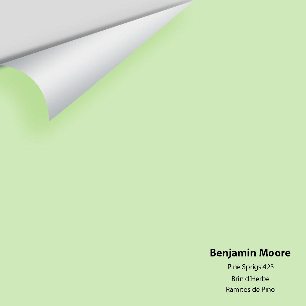 Digital color swatch of Benjamin Moore's Pine Sprigs 423 Peel & Stick Sample available at Ricciardi BRothers in PA, DE, & NJ.