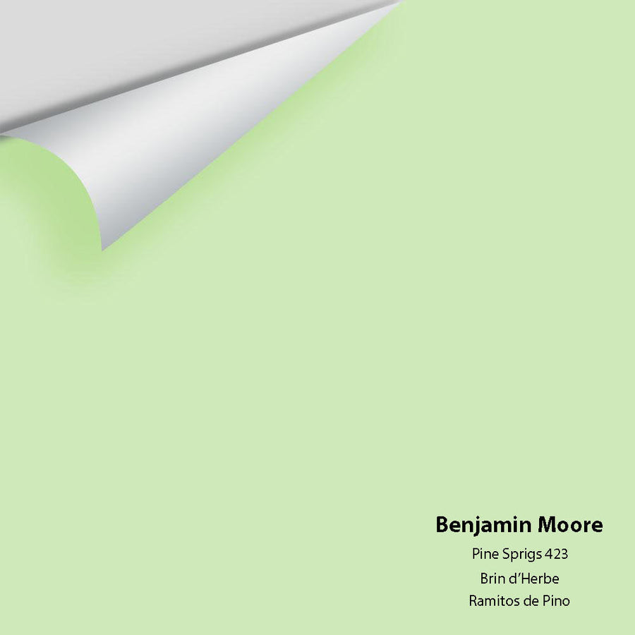 Digital color swatch of Benjamin Moore's Pine Sprigs 423 Peel & Stick Sample available at Ricciardi BRothers in PA, DE, & NJ.