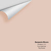 Digital color swatch of Benjamin Moore's Pink Beach 1172 Peel & Stick Sample available at Ricciardi BRothers in PA, DE, & NJ.