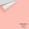 Digital color swatch of Benjamin Moore's Pink Canopy 10 Peel & Stick Sample available at Ricciardi BRothers in PA, DE, & NJ.