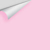 Digital color swatch of Benjamin Moore's Pink Cherub 2079-60 Peel & Stick Sample available at Ricciardi BRothers in PA, DE, & NJ.