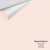 Digital color swatch of Benjamin Moore's Pink Cloud 887 Peel & Stick Sample available at Ricciardi BRothers in PA, DE, & NJ.