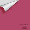 Digital color swatch of Benjamin Moore's Pink Corsage 1349 Peel & Stick Sample available at Ricciardi BRothers in PA, DE, & NJ.