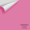 Digital color swatch of Benjamin Moore's Pink Ladies 1347 Peel & Stick Sample available at Ricciardi BRothers in PA, DE, & NJ.