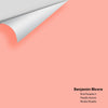 Digital color swatch of Benjamin Moore's Pink Paradise 3 Peel & Stick Sample available at Ricciardi BRothers in PA, DE, & NJ.