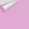 Digital color swatch of Benjamin Moore's Pink Taffy 2075-50 Peel & Stick Sample available at Ricciardi BRothers in PA, DE, & NJ.