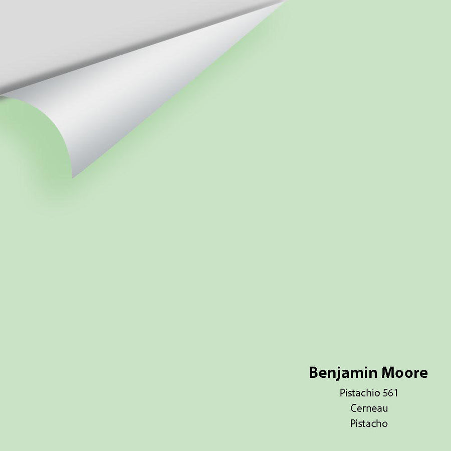Digital color swatch of Benjamin Moore's Pistachio 561 Peel & Stick Sample available at Ricciardi BRothers in PA, DE, & NJ.