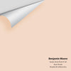 Digital color swatch of Benjamin Moore's Queen Anne Pink HC-60 Peel & Stick Sample available at Ricciardi BRothers in PA, DE, & NJ.