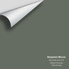 Digital color swatch of Benjamin Moore's Rainy Afternoon 1575 Peel & Stick Sample available at Ricciardi BRothers in PA, DE, & NJ.