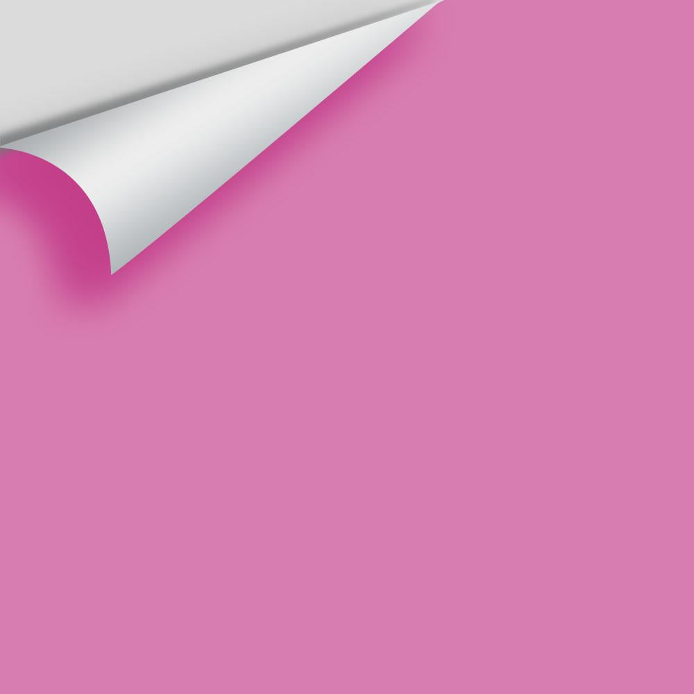 Digital color swatch of Benjamin Moore's Raspberry Mousse 2076-40 Peel & Stick Sample available at Ricciardi BRothers in PA, DE, & NJ.