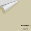 Digital color swatch of Benjamin Moore's Richmond Gray HC-96 Peel & Stick Sample available at Ricciardi BRothers in PA, DE, & NJ.