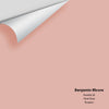 Digital color swatch of Benjamin Moore's Rosetta 38 Peel & Stick Sample available at Ricciardi BRothers in PA, DE, & NJ.