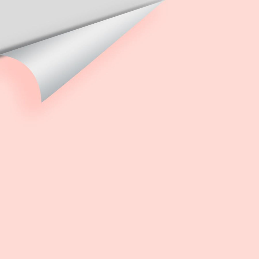 Digital color swatch of Benjamin Moore's Springy Peach 2011-60 Peel & Stick Sample available at Ricciardi BRothers in PA, DE, & NJ.