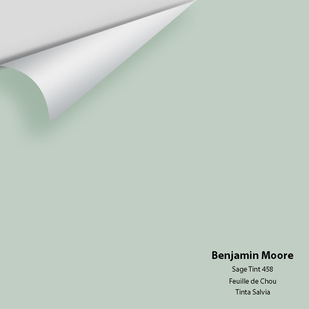 Digital color swatch of Benjamin Moore's Sage Tint 458 Peel & Stick Sample available at Ricciardi BRothers in PA, DE, & NJ.
